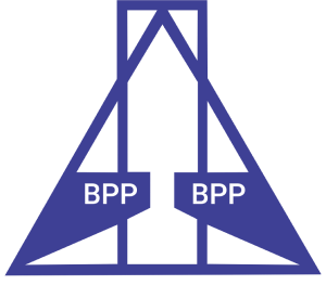 PT Berdikari Pondasi Perkasa Web Profile